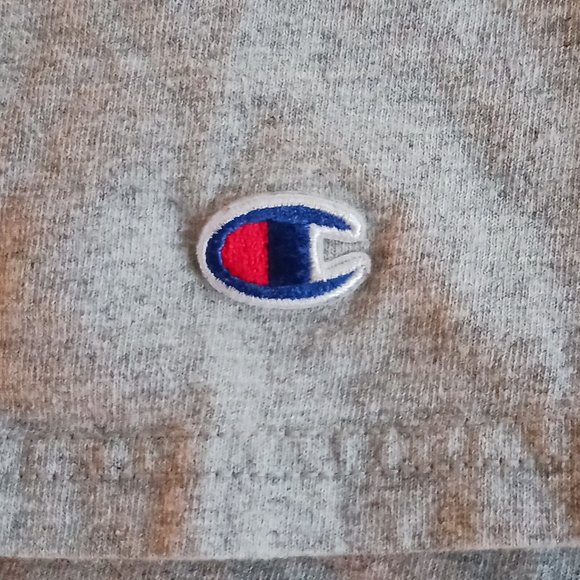 T Shirt Stonehill College Easton MA Champion Authentic Athleticwear Size L Large - Picture 5 of 5